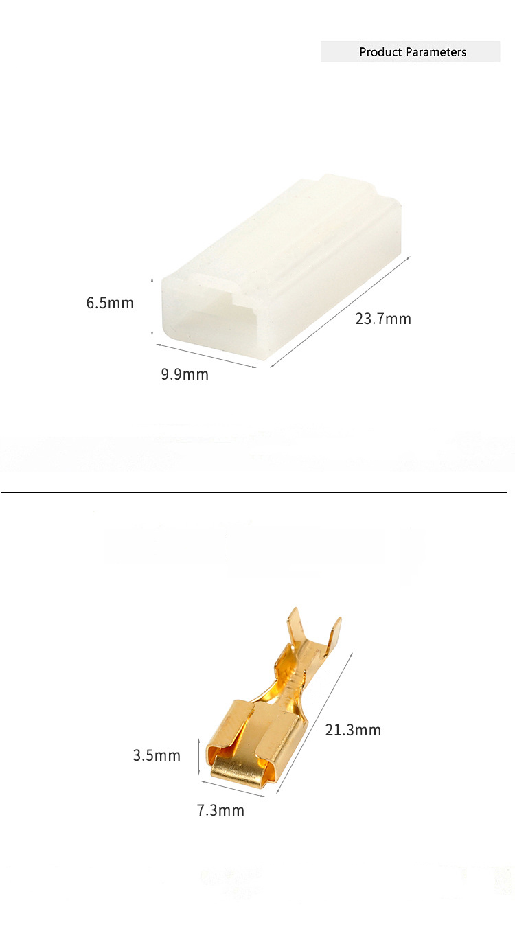Wire Harness Connector, Automotive Connector, Plug, Housing, Plastic Part, 6.3 Terminal, DJ7014A-6.3-21